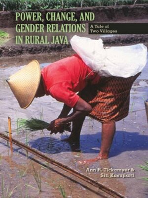 cover image of Power, Change, and Gender Relations in Rural Java